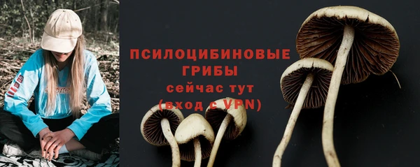 таблы Верхний Тагил